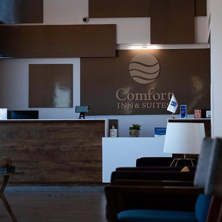 Comfort Inn & Suites Los Cabos Cabo San Lucas Zewnętrze zdjęcie